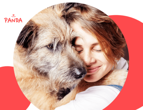 Der Hunde-Guide für frischgebackene Hundeeltern