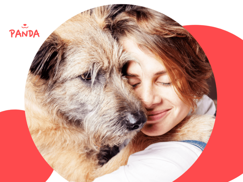 Panda Ad- & Postdesigns